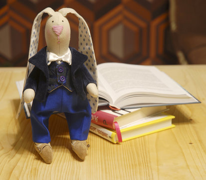 Handmade rabbit in blue suit with books