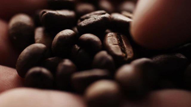 Closeup super slow motion shot of roasted coffee beans