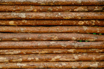 Wood texture background, wood planks.