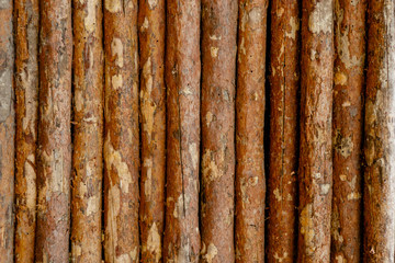 Wood texture background, wood planks.