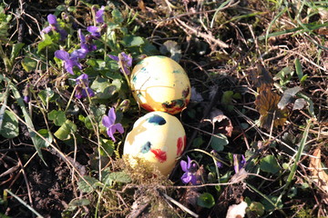 Zwei bunte  Ostereier, Easter Eggs, gruppieren sich um Veilchen, Mannheim 18