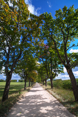Alley in countryside.