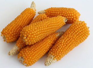 A ears maize (corn).