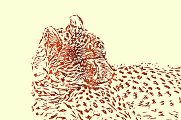 Cheetah vector sketch or drawing, abstract wildlife background illustration. © hypotekyfidler.cz