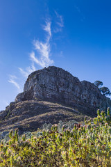 Lion's Head Mountain