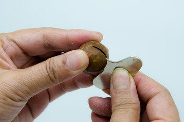 Shelling a nut