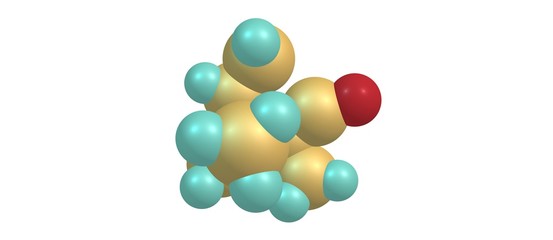 Camphor molecular structure isolated on white background