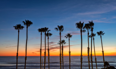 Orange sunset over the ocean with palms - 197846323