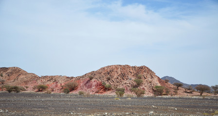The barren land of the arabia