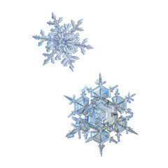 Two snowflakes isolated on white background. Macro photo of real snow crystals: large stellar...