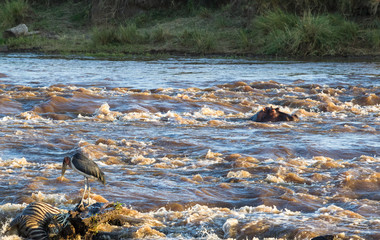 View of the Mara River after a great migration. Kenya, Africa