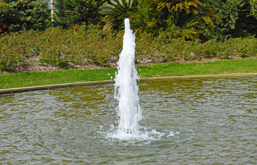 

Chorro de agua en jardín público de Barcelona