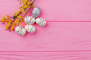 Pussy willow and Easter decorative eggs. Styrofoam festive eggs and twig of pussy willow on pink wooden background, copy space.