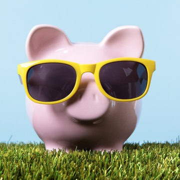 Pink piggy bank or piggybank one single wearing sunglasses in a field or meadow green grass retirement vacation holiday money saving plan planning photo