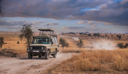 Game drive Safari in Serengeti national park,Tanzania - obrazy, fototapety, plakaty