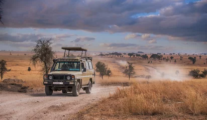 Pirschfahrt Safari im Serengeti Nationalpark, Tansania © PUTSADA