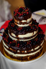 decorated table with sweets,berries, chocolate, cream, juice, compote, jelly, condensed milk, cake, bise, sweets at a wedding party
