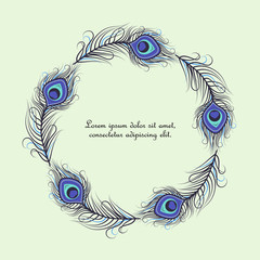 Obraz premium Vector illustration of peacock feathers. Background with colorful feathers and place for text