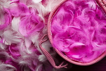 Easter background - white and pink feathers