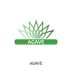agave logo isolated on white background for your web, mobile and app design