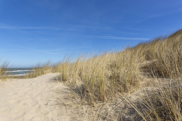 View from Grass Dunes towards Domburg Beach and North Sea / Netherlands