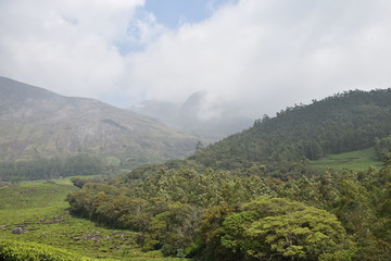 Naklejka premium gods own country