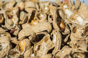 A bunch of Peanut shells