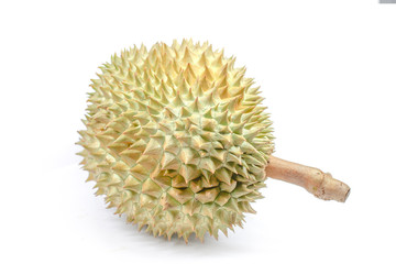 Durian fruit isolate on White Background