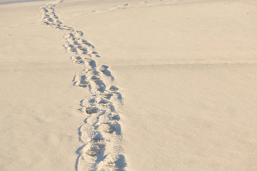 Footprints in the snow in the golden hour.