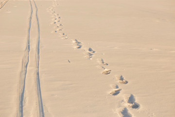 Footprints in the snow in the golden hour.