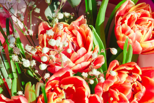 "Tender Flowers" Images – Browse 354 Stock Photos, Vectors, and Video ...