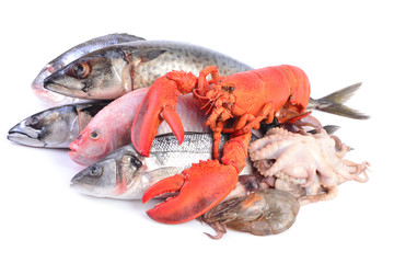 Seafood on a white background