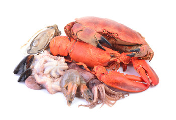 Seafood on a white background