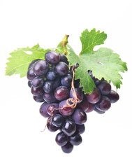 Grape fruit