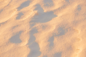 light and shadow on the snow in the golden hour. background.