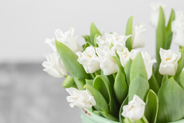 Tulips of white color in green vase. Floral natural backdrop. Unusual flowers, unlike the others.