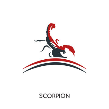 scorpion logo isolated on white background for your web, mobile and app design