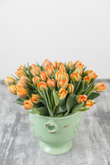 Tulips of orange color in green vase. Big buds of multicoloured tulips. Floral natural backdrop. Bicolour tulips filled picture. Unusual flowers, unlike the others. Shallow focus.
