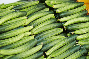 fresh cucumbers on the market