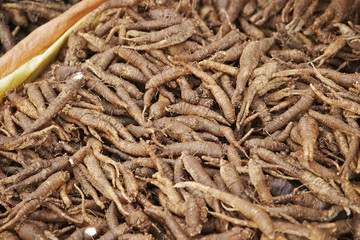 Korean traditional market