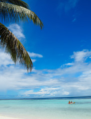 Idyllic white beach with palm trees and people kayaking