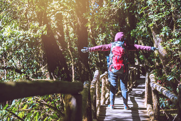 asian women travel  nature. Travel relax.  Nature Study in the Jungle. Thailand