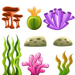 Sea plants and aquatic marine algae, seawed and corals. Underwater sea life. Vector illustration.