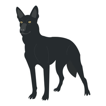 Black Dog On White Background