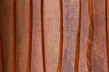 Wood texture background  