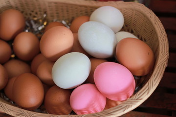 Eggs multi color on wooden background 