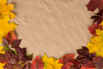 Naklejka na ściany i meble Sand background with autumn leaves.