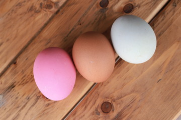 Eggs multi color on wooden background 