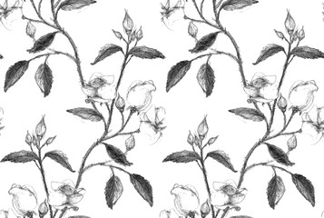 Seamless pattern made of pencil sketched rose branch