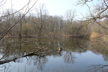 Teich im Rosental